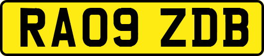 RA09ZDB