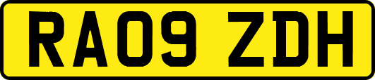 RA09ZDH