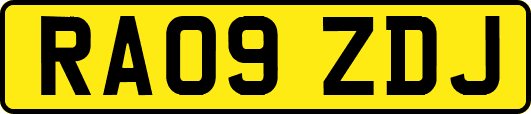 RA09ZDJ