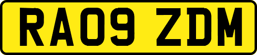 RA09ZDM