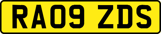 RA09ZDS