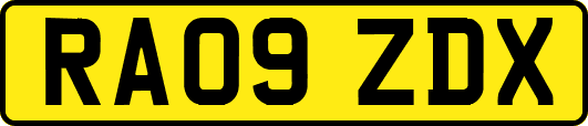 RA09ZDX