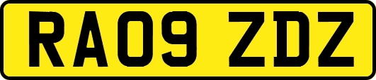RA09ZDZ