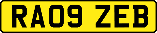 RA09ZEB