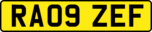 RA09ZEF