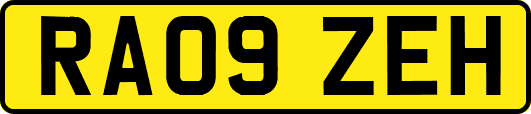 RA09ZEH