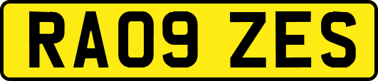 RA09ZES