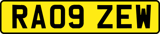 RA09ZEW