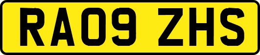 RA09ZHS