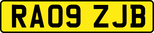 RA09ZJB