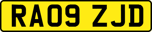 RA09ZJD