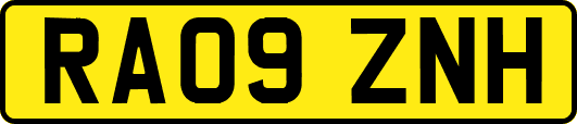 RA09ZNH