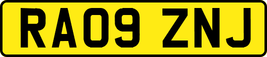 RA09ZNJ