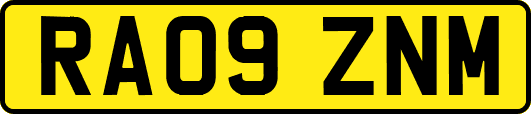 RA09ZNM