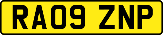 RA09ZNP
