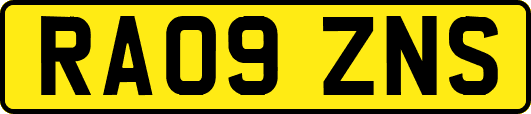 RA09ZNS