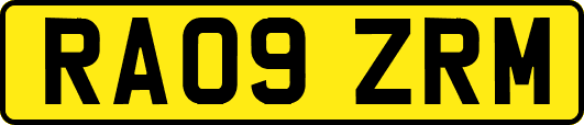 RA09ZRM