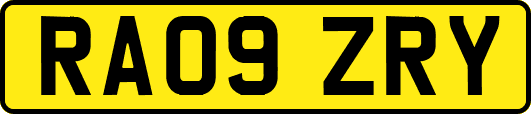 RA09ZRY