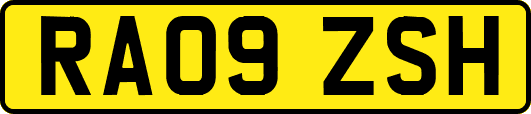 RA09ZSH