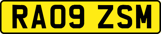 RA09ZSM