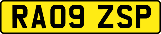 RA09ZSP