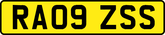 RA09ZSS