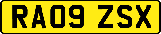 RA09ZSX