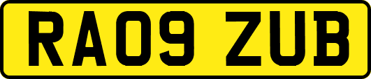 RA09ZUB