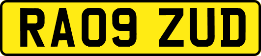 RA09ZUD