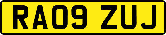 RA09ZUJ