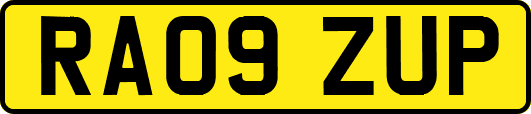 RA09ZUP