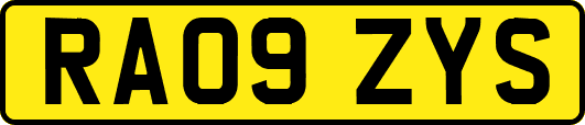 RA09ZYS