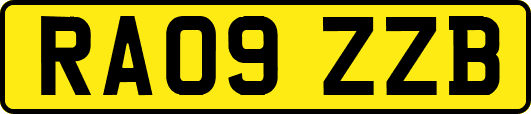 RA09ZZB