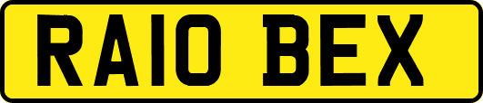 RA10BEX
