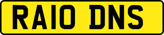RA10DNS