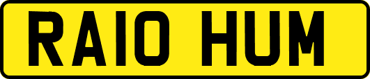 RA10HUM