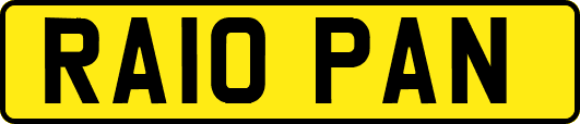 RA10PAN