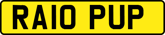 RA10PUP