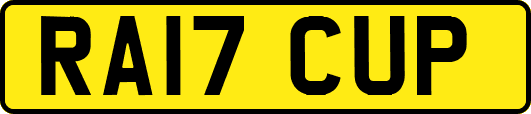 RA17CUP