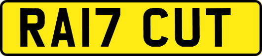 RA17CUT