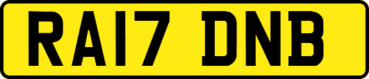 RA17DNB