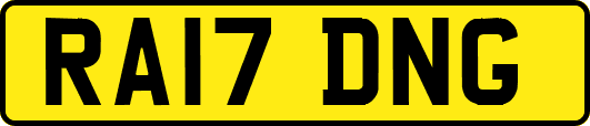 RA17DNG