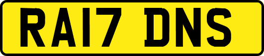 RA17DNS