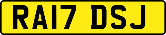 RA17DSJ