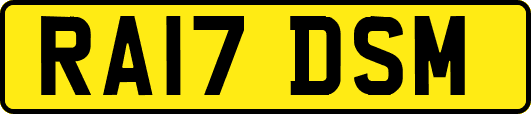 RA17DSM