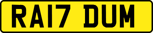 RA17DUM