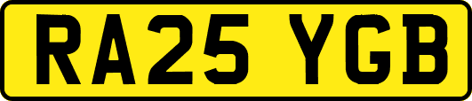 RA25YGB