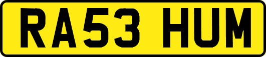 RA53HUM
