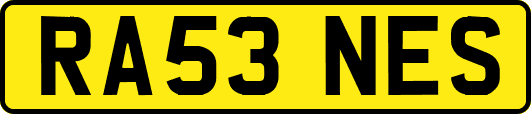 RA53NES