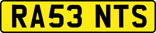 RA53NTS